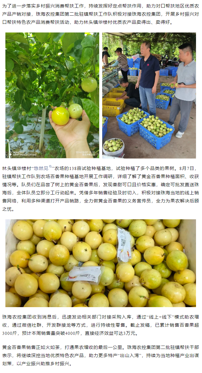 2UP体育_2UP(中国)集团助力产销对接 对口帮扶果香飘百里.png